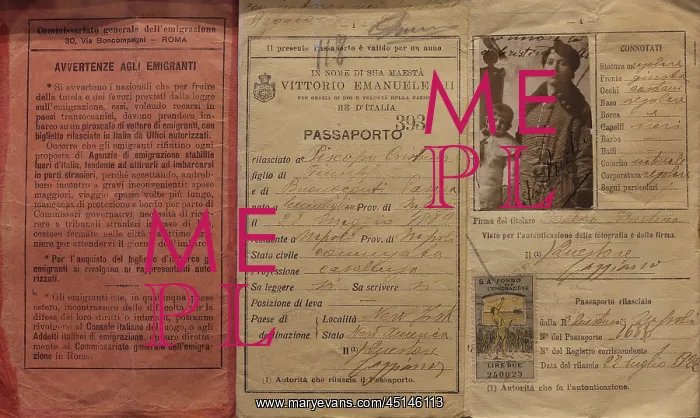 : Passport, Ellis Island Migration Museum, New York, USA : Passport, Ellis Island Migration Museum, New York, USA
