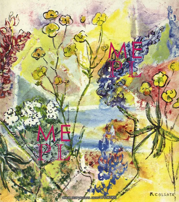 : Pastel Flowers : Pastel Flowers