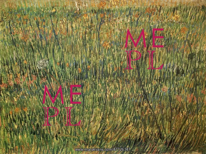  : Pasture in Bloom, by Van Gogh
