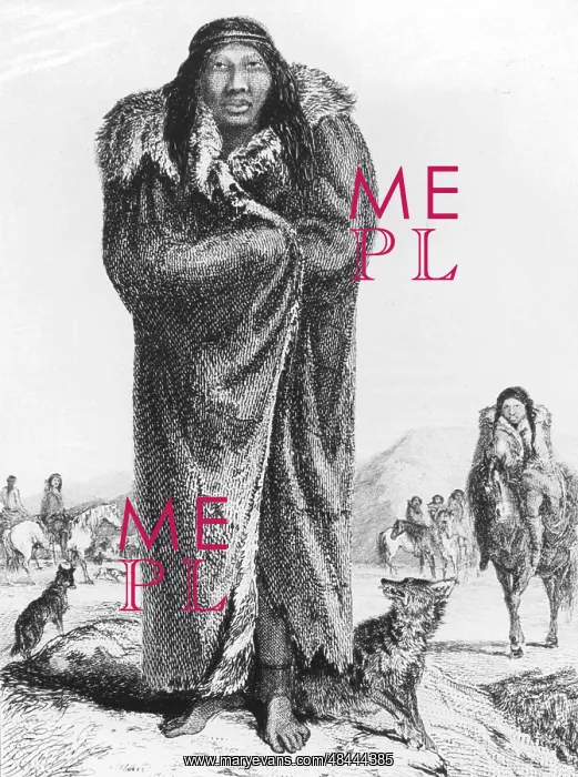 : A Patagonian. From William Parker King Narrative : A Patagonian. From William Parker King Narrative