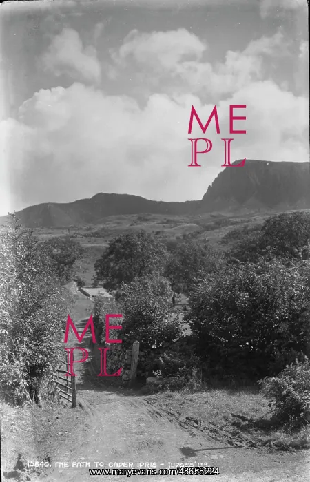 : The Path to Cader Idris : The Path to Cader Idris