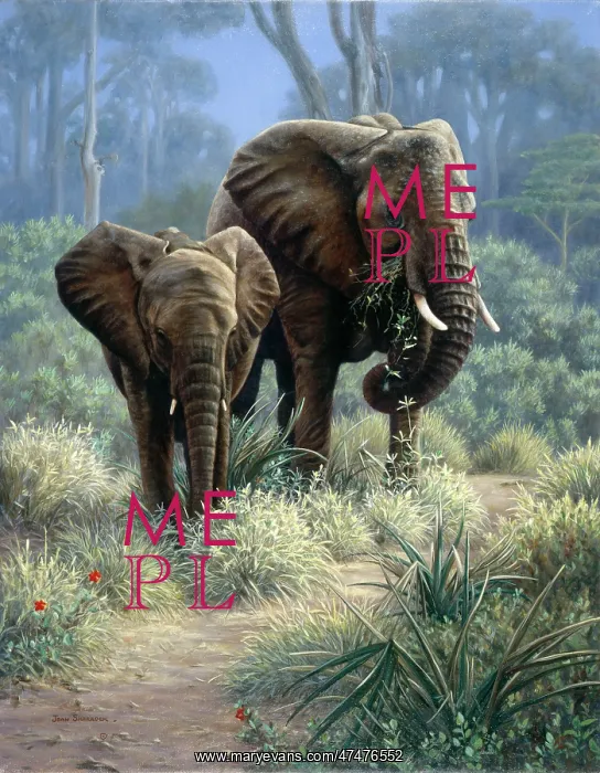  : Path of Generations ' two elephants