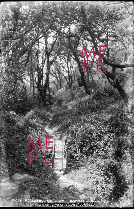 : Pathway Through Ecclesbourne Glen : Pathway Through Ecclesbourne Glen