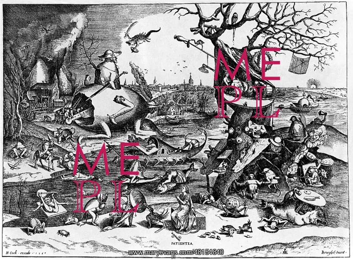 : Patience, by Pieter Bruegel the Elder : Patience, by Pieter Bruegel the Elder