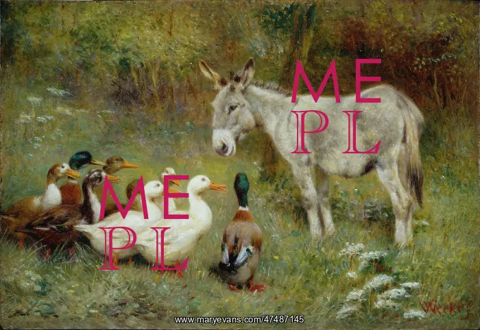 : The Patient and Quacks – donkey & ducks : The Patient and Quacks – donkey & ducks