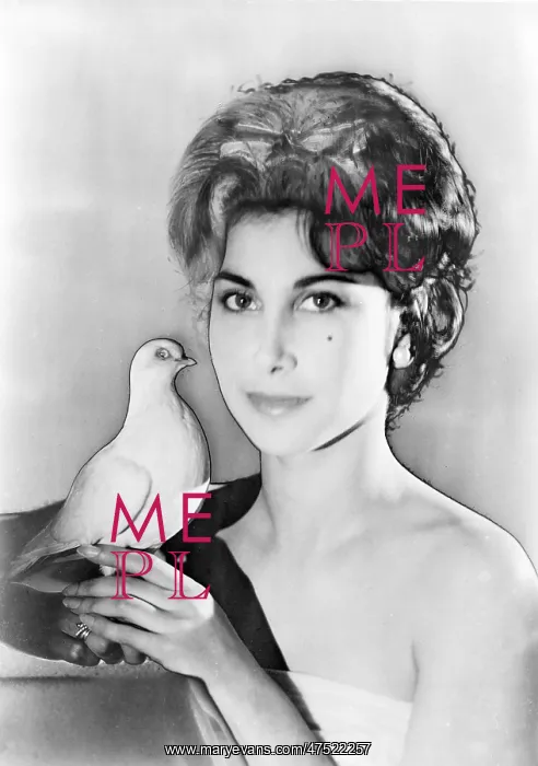 : Patricia Rawlings : Patricia Rawlings