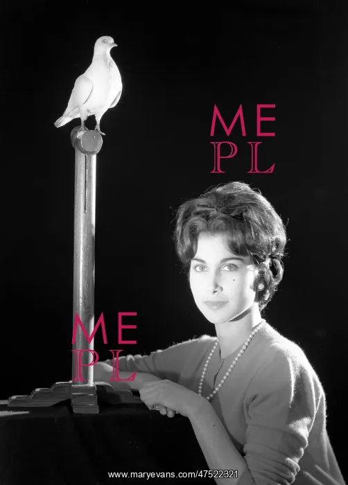 : Patricia Rawlings : Patricia Rawlings