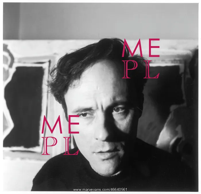 : PATRICK HERON / IDA KAR : PATRICK HERON / IDA KAR