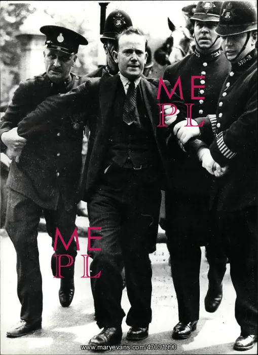 : Patrick McMahon arrested in The Mall, London : Patrick McMahon arrested in The Mall, London