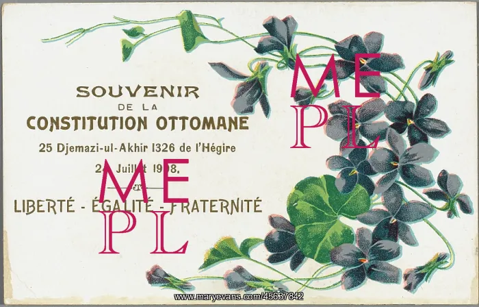 : Patriotic Postcard in favour of the Constitution : Patriotic Postcard in favour of the Constitution