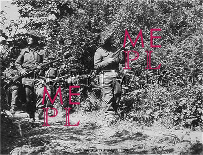 : PATROL IN WOODS : PATROL IN WOODS