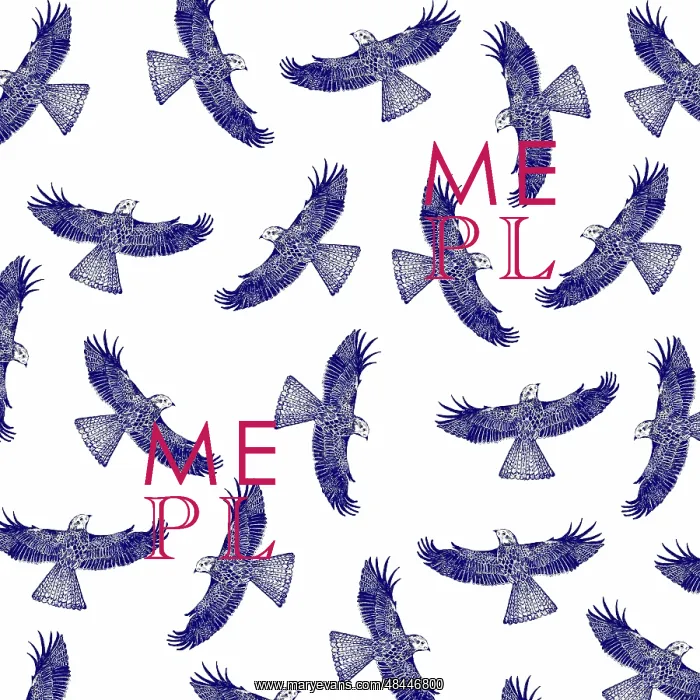  : Pattern featuring a bird of prey in flight