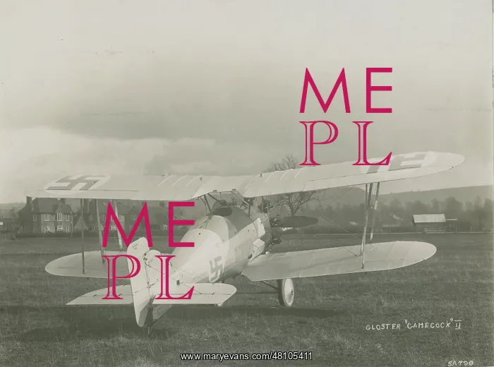 : One of two pattern Gloster Gamecock II aircraft built fo : One of two pattern Gloster Gamecock II aircraft built fo