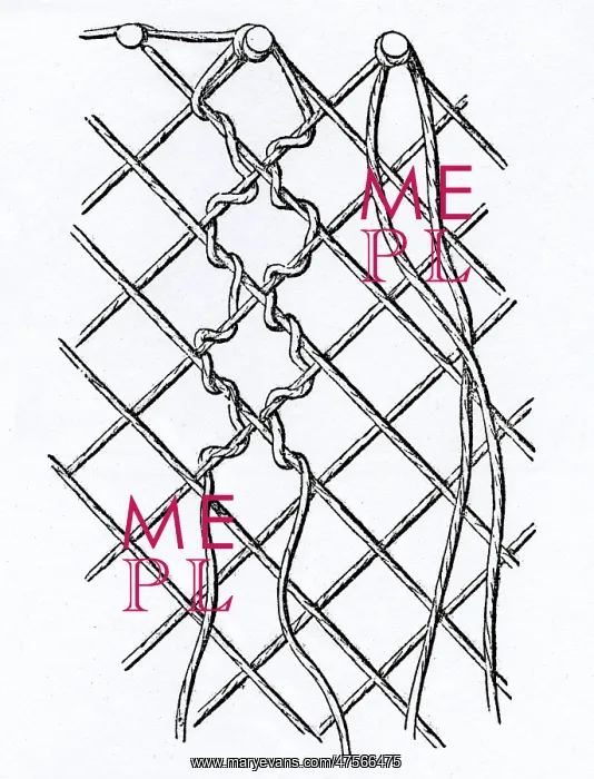 : Pattern of Threads in Bobbin-net Lace : Pattern of Threads in Bobbin-net Lace