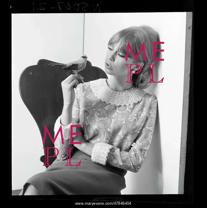 : Pattie Boyd - With model songbird : Pattie Boyd - With model songbird