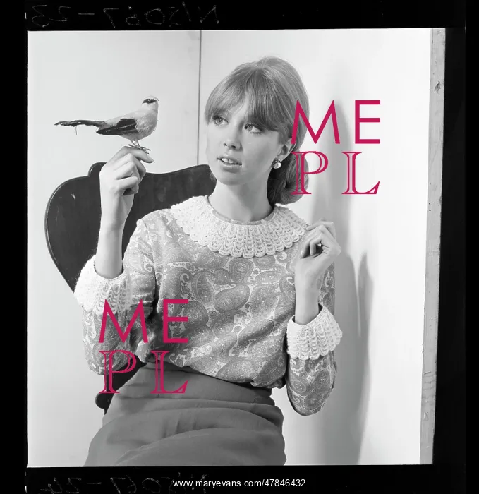 : Pattie Boyd - With model songbird : Pattie Boyd - With model songbird
