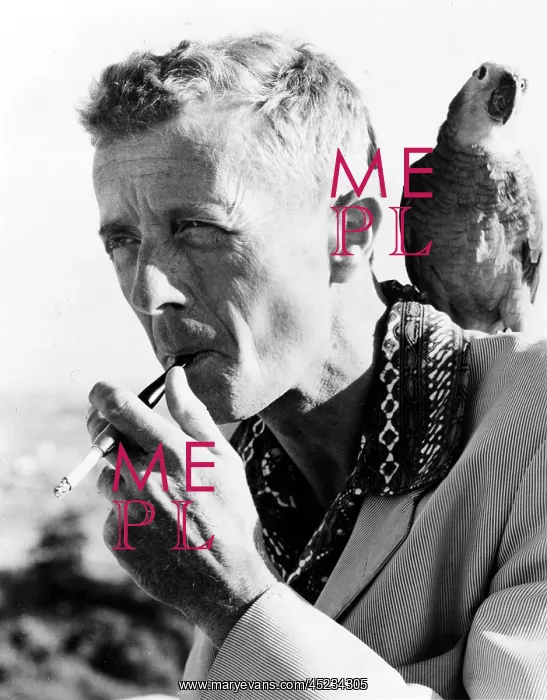: PAUL BOWLES, circa 1960s. ? : PAUL BOWLES, circa 1960s. ?