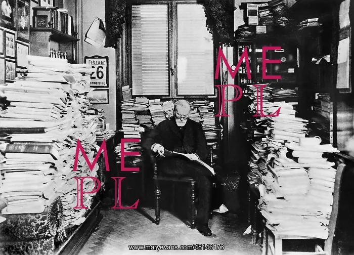 : Paul Ehrlich in his study : Paul Ehrlich in his study