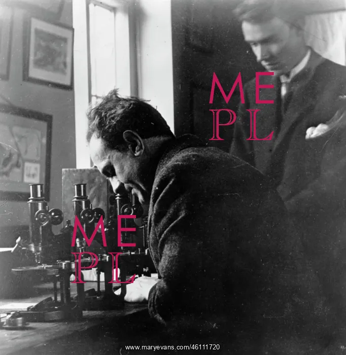 : Paul Kammerer : Paul Kammerer