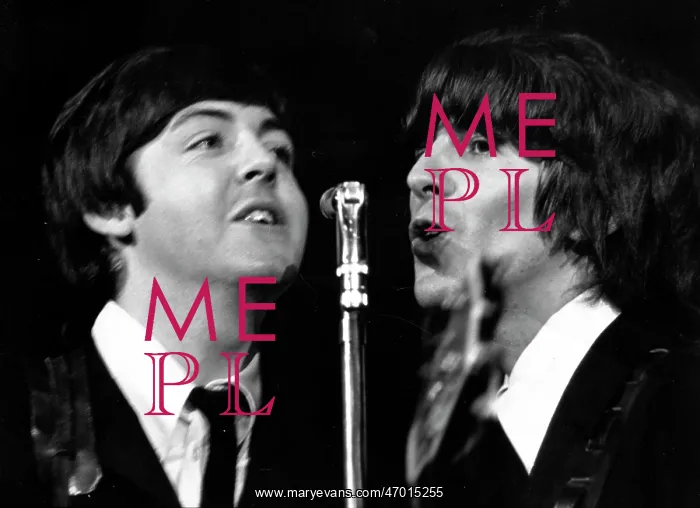: Paul McCartney and George Harrison in a concert : Paul McCartney and George Harrison in a concert