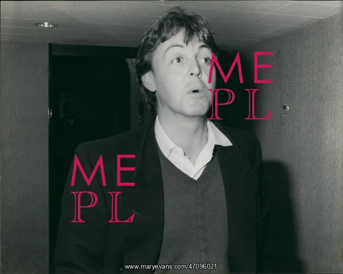 : Paul McCartney, former member of Beatles pop group : Paul McCartney, former member of Beatles pop group
