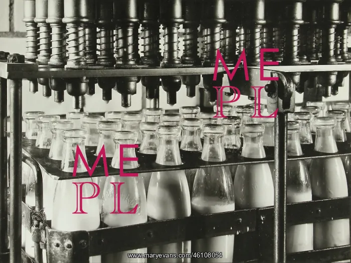 : Paul Wolff. ' Untitled (bottles processing : Paul Wolff. ' Untitled (bottles processing