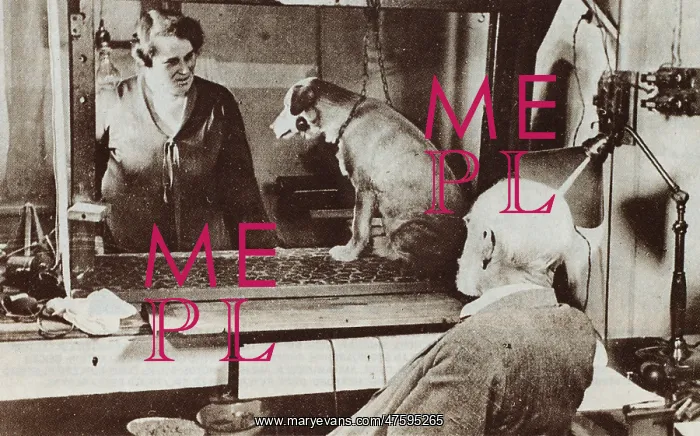 : Pavlov and Dog : Pavlov and Dog