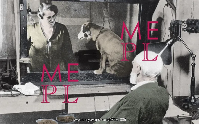 : Pavlov and Dog : Pavlov and Dog
