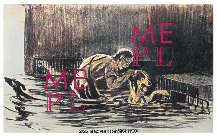 : Pavlov's dogs trapped in a flood : Pavlov's dogs trapped in a flood
