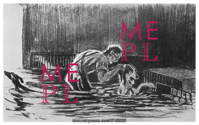 : Pavlov's dogs trapped in a flood : Pavlov's dogs trapped in a flood