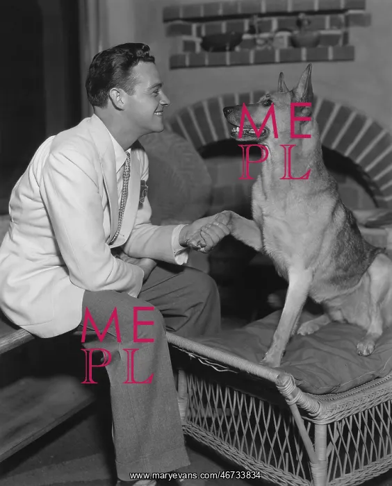 : Give me paw : Give me paw