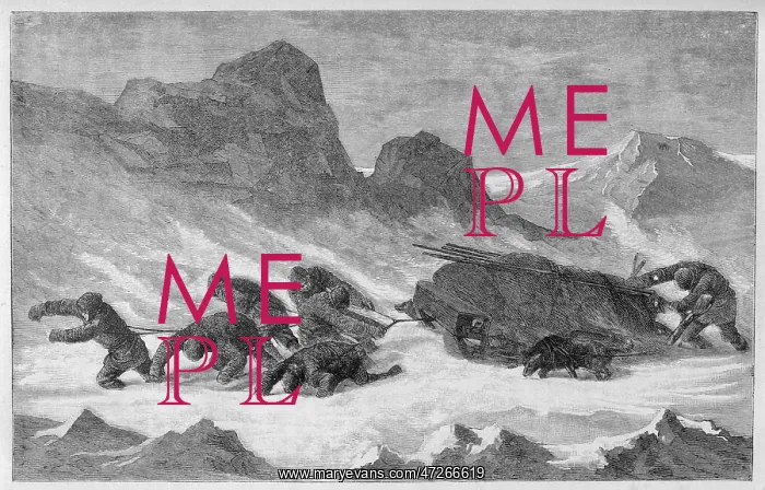  : PAYER / SLEDGE PARTY / 1873