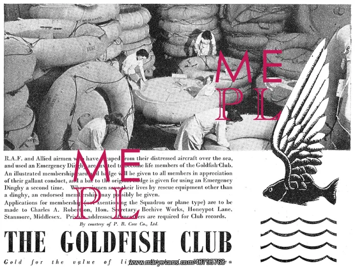 : P.B.Cow - Goldfish Club : P.B.Cow - Goldfish Club