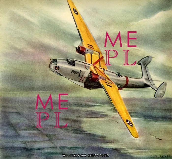 : PBM-1 Naval Patrol Bomber : PBM-1 Naval Patrol Bomber