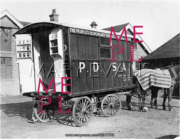 : PDSA AMBULANCE : PDSA AMBULANCE