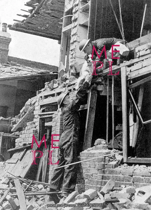 : PDSA / BOMBED ANIMALS : PDSA / BOMBED ANIMALS