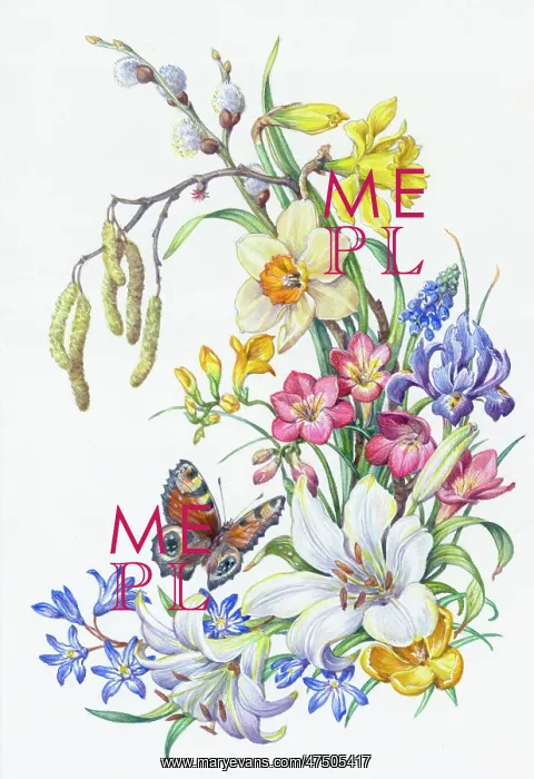: Peacock Butterfly with Daffodils, Lily, Iris etc : Peacock Butterfly with Daffodils, Lily, Iris etc