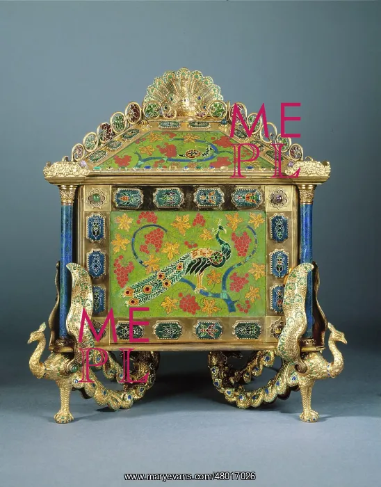 : Peacock case : Peacock case