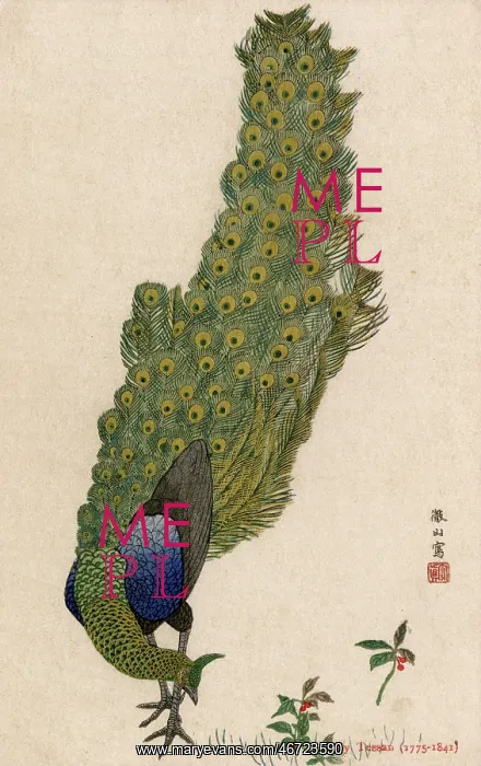 : A Peacock by Mori Tessan : A Peacock by Mori Tessan