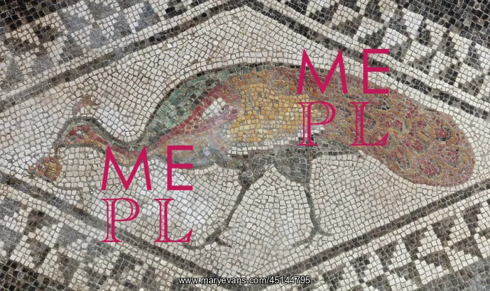 : Peacock mosaic, House of Paquius Proculus, Pompeii, Italy : Peacock mosaic, House of Paquius Proculus, Pompeii, Italy