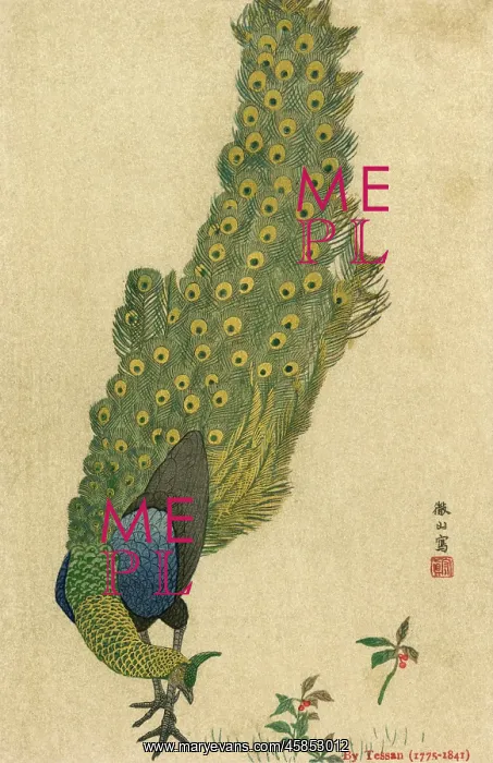  : PEACOCK TRAILING