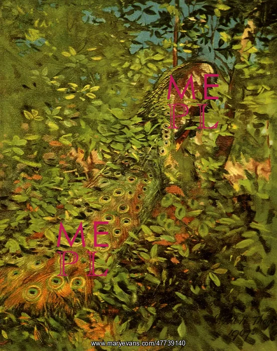  : Peacock in the Woods