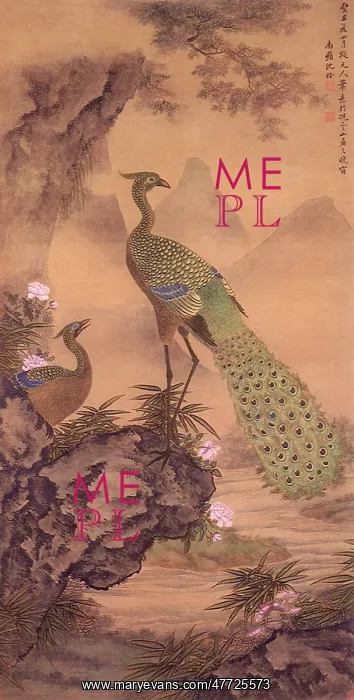  : Peacocks