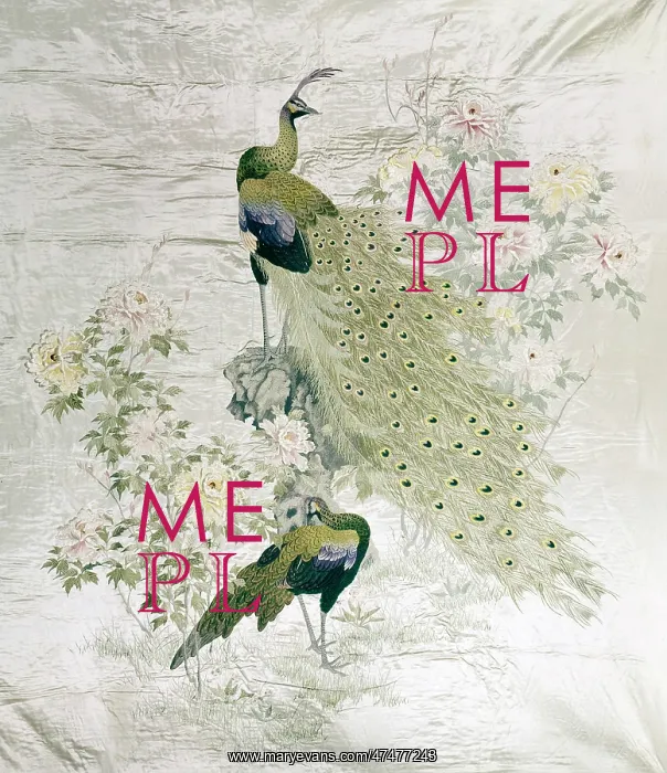 : Peacocks and Peonies : Peacocks and Peonies