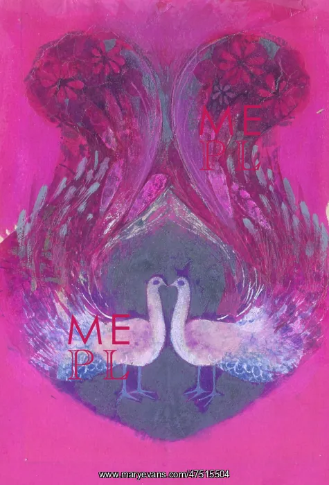  : Two Peacocks on a pink background