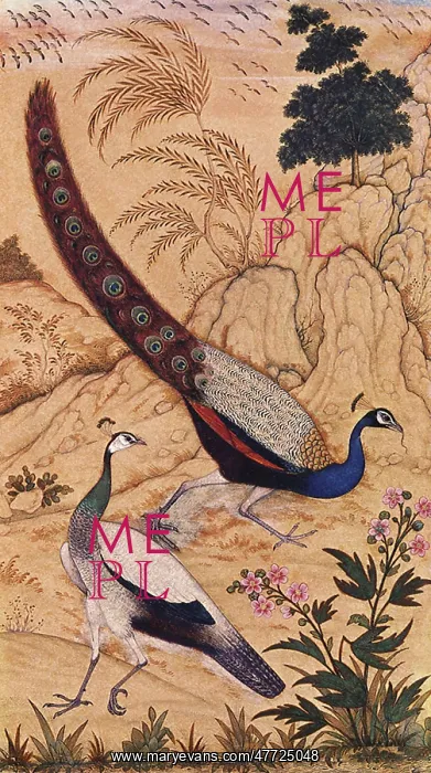  : Peafowl