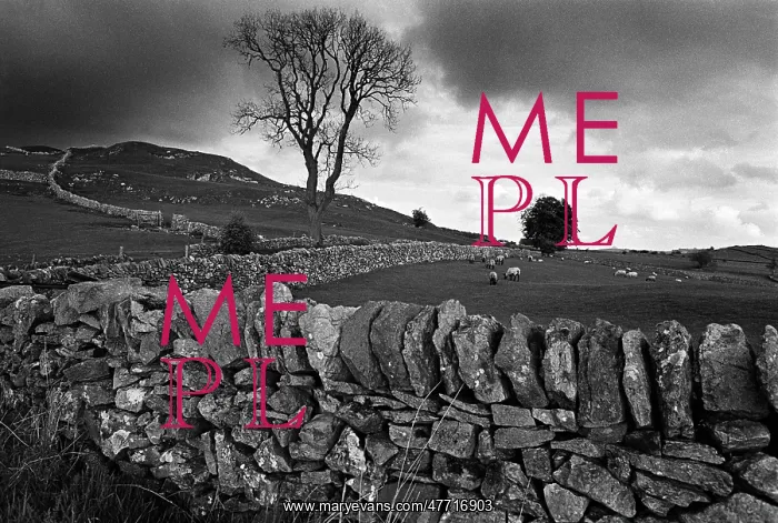 : Peak District, Derbyshire, bleak winter : Peak District, Derbyshire, bleak winter