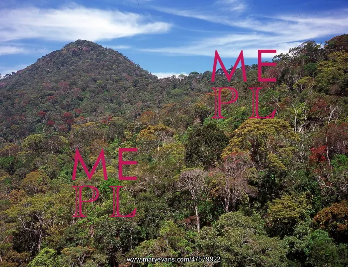 : The Peak Wilderness, Sri Lanka : The Peak Wilderness, Sri Lanka