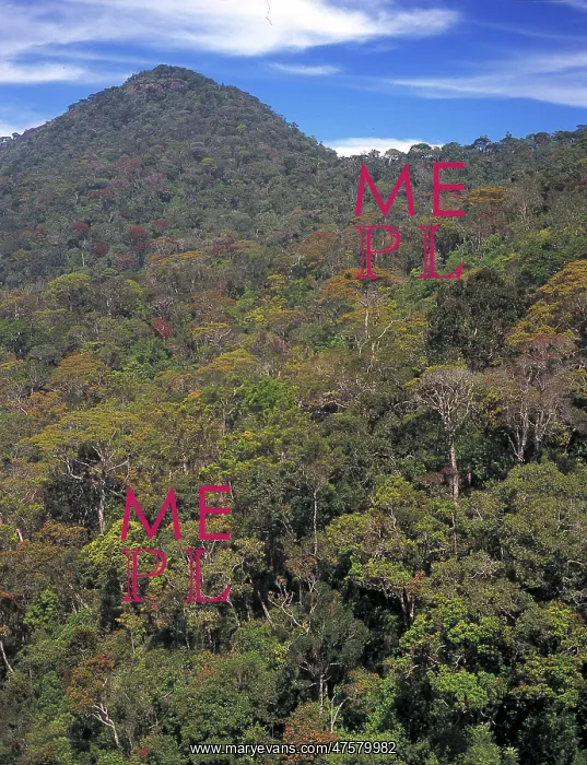 : The Peak Wilderness, Sri Lanka : The Peak Wilderness, Sri Lanka