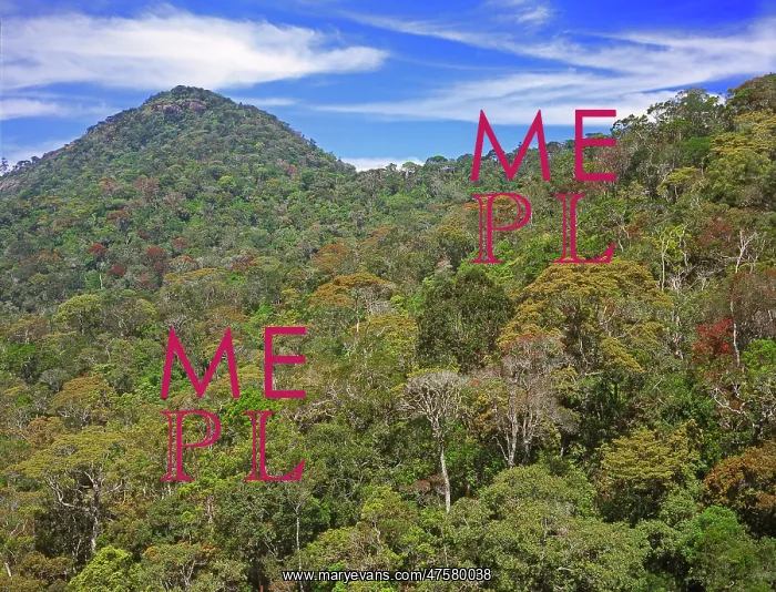 : The Peak Wilderness, Sri Lanka : The Peak Wilderness, Sri Lanka